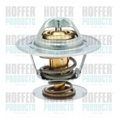 Thermostat 