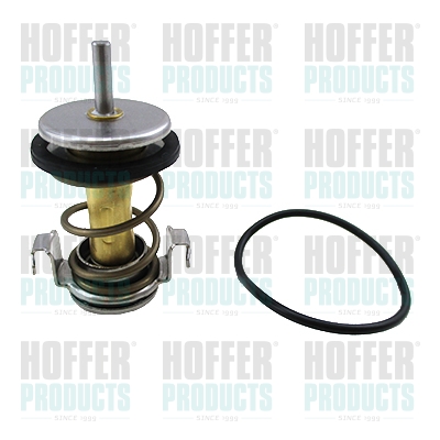 Thermostat 