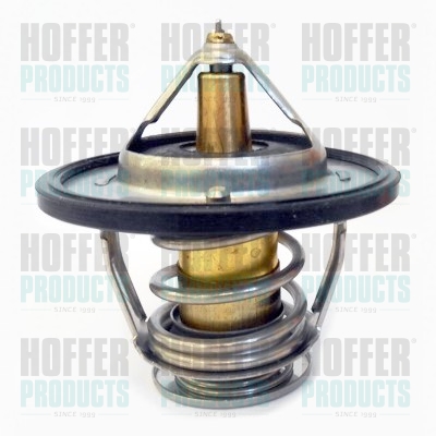 Thermostat 