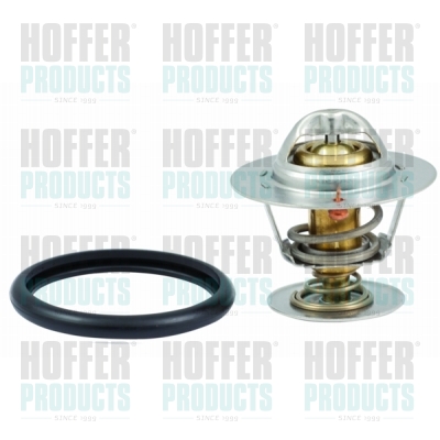 Thermostat 