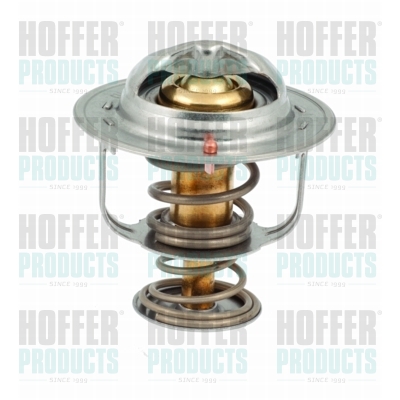 Thermostat 