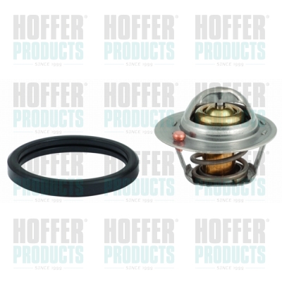 Thermostat 