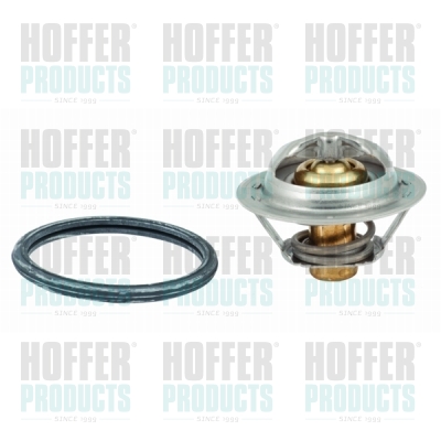 Thermostat 