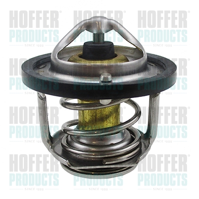 Thermostat 
