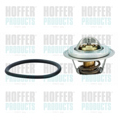 Thermostat 