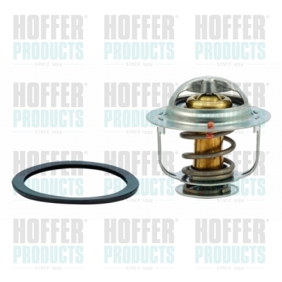 Thermostat 