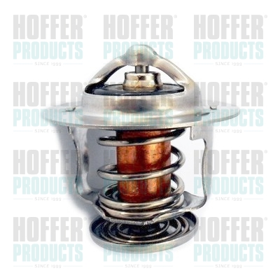Thermostat 