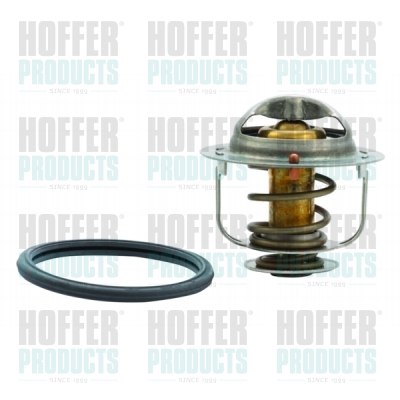 Thermostat 