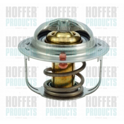Thermostat 