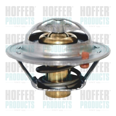 Thermostat 