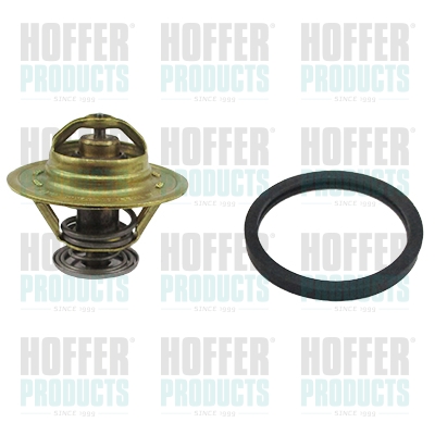 Thermostat 