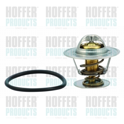 Thermostat 