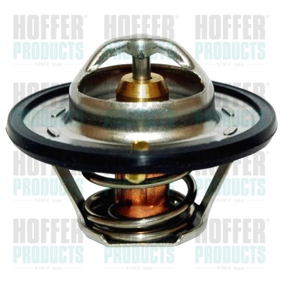 Thermostat 