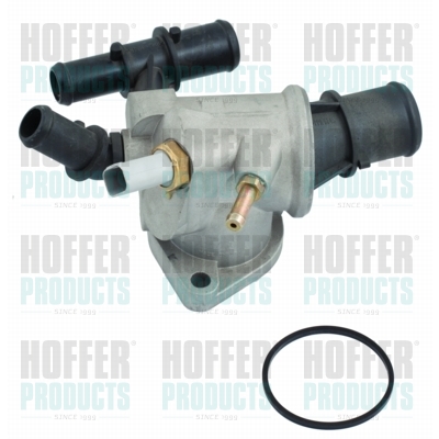 Thermostat 