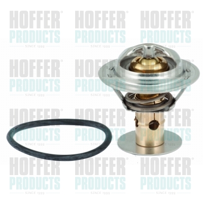 Thermostat 
