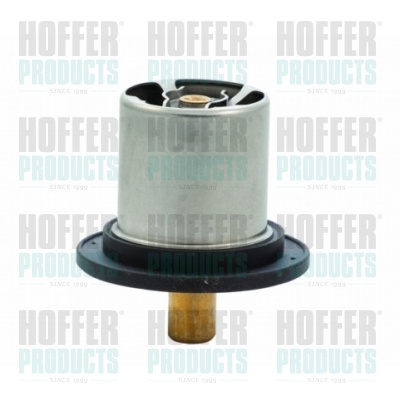 Thermostat 
