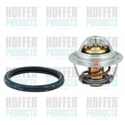 Thermostat 