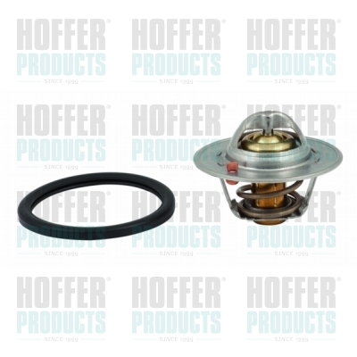 Thermostat 