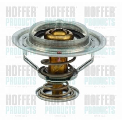 Thermostat 
