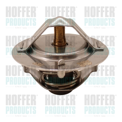 Thermostat 
