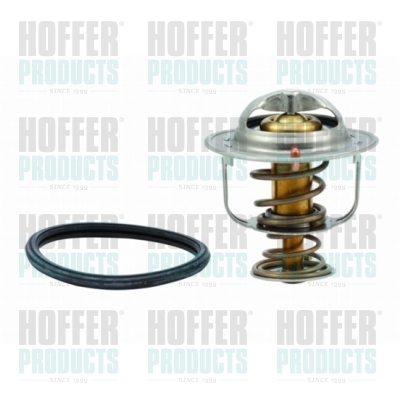 Thermostat 
