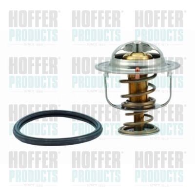 Thermostat 