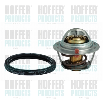 Thermostat 