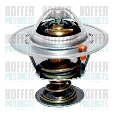 Thermostat 