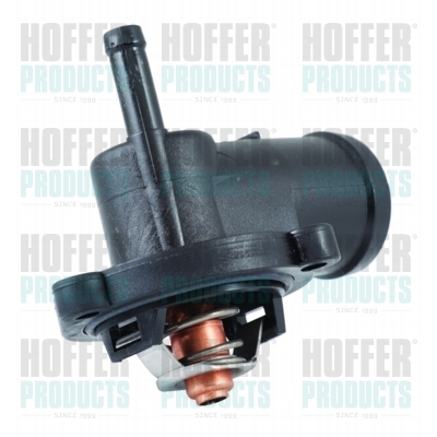 Thermostat 