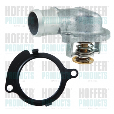 Thermostat 